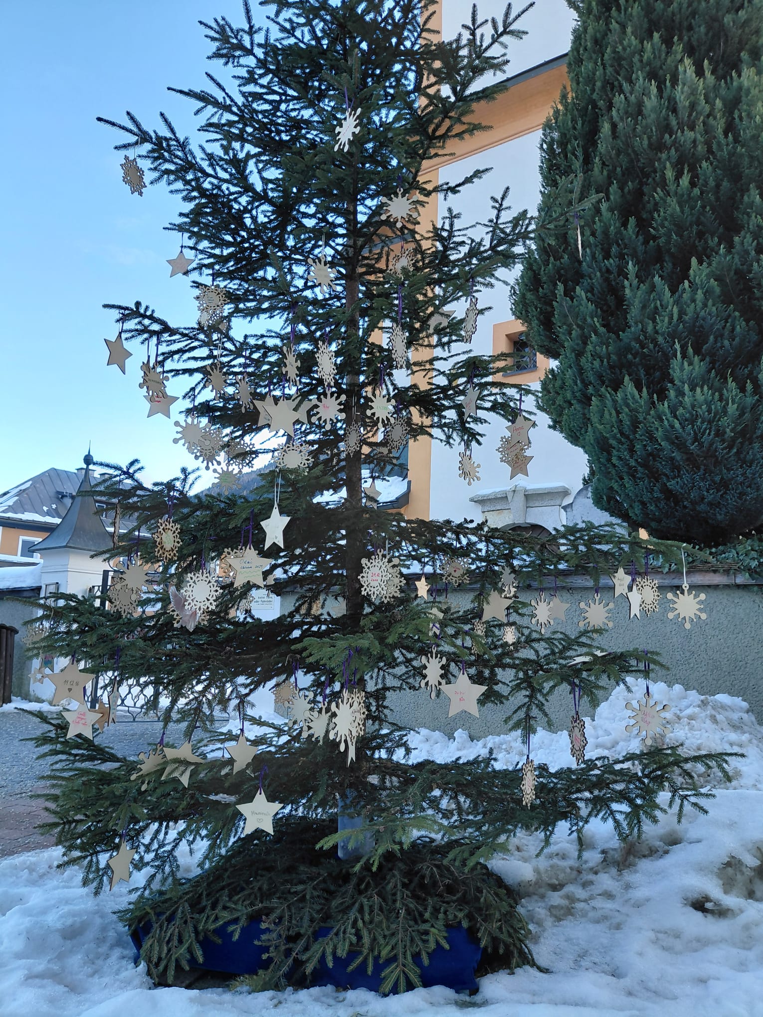 Der Baum der Erinnerung 2025